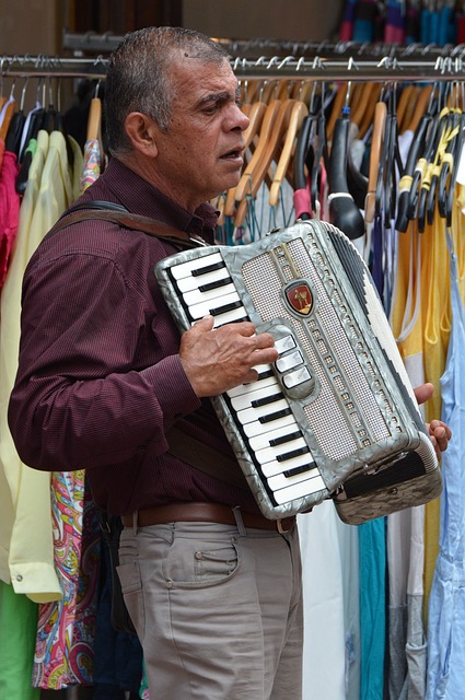 accordion, accordions