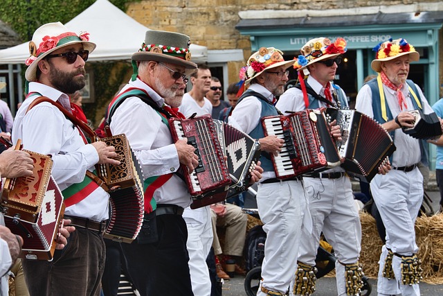 accordion, accordions