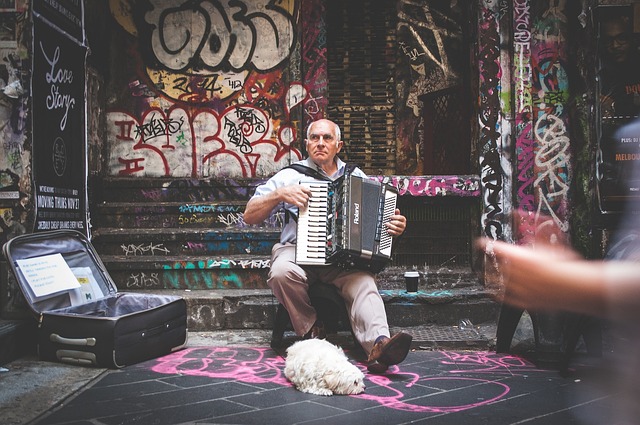 accordion, accordions