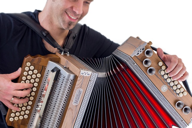 accordion, accordions