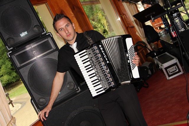 accordion, accordions
