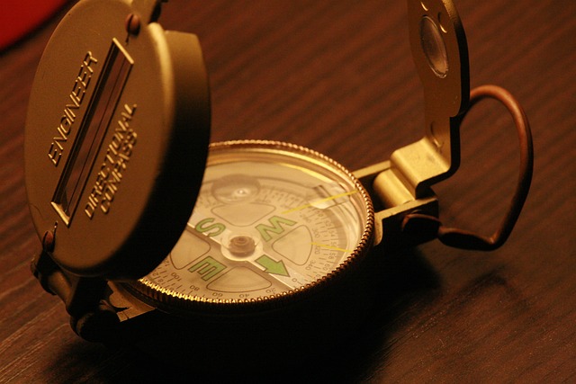 compass, compasses, magnetic compass