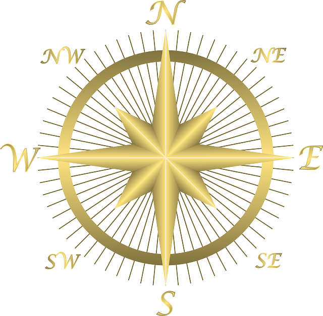 compass, compasses, magnetic compass