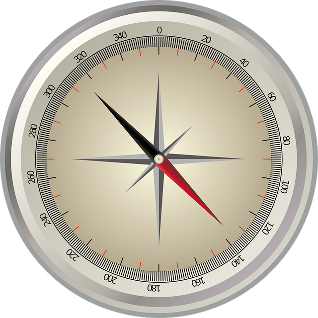 compass, compasses, magnetic compass