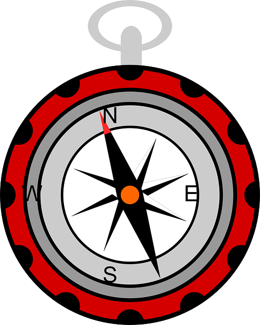 compass, compasses, magnetic compass