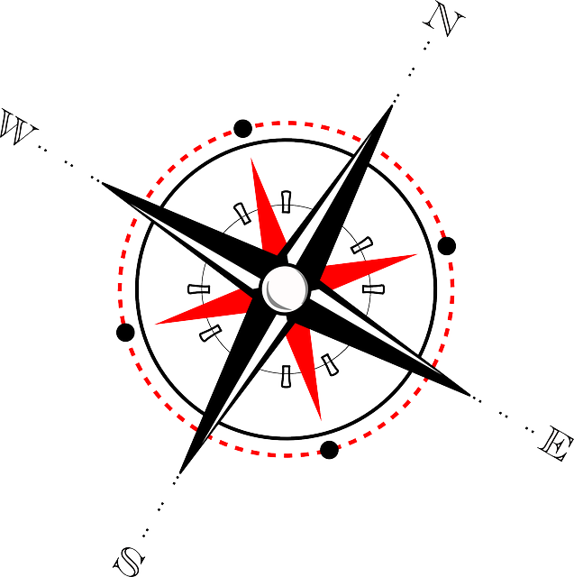 compass, compasses, magnetic compass