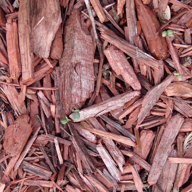 composting, compost, vermiculture