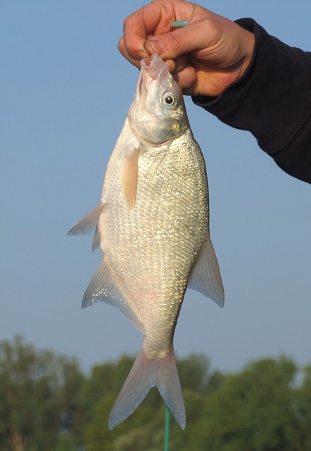 fishing supplies