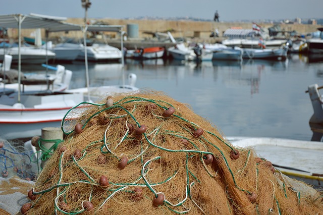 fishing supplies