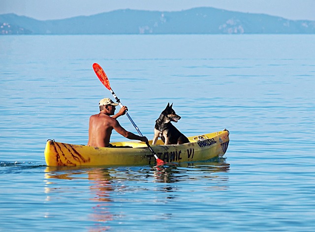 kayaking, kayaks, kayak