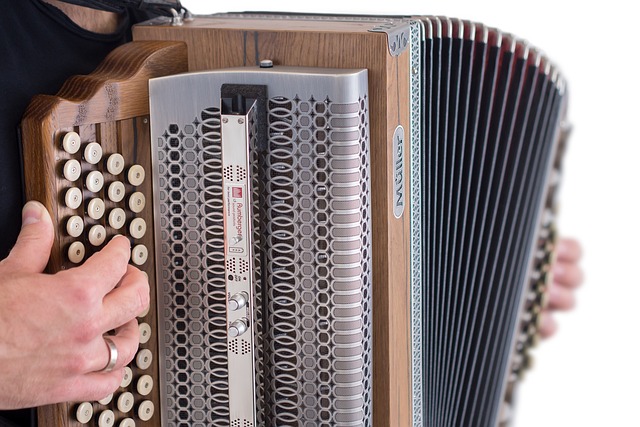 accordion, accordions