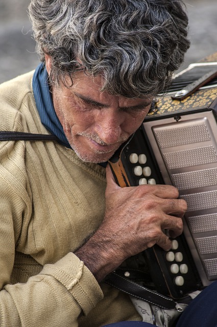 accordion, accordions