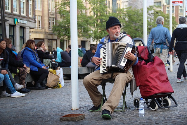 accordion, accordions