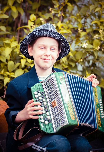 accordion, accordions