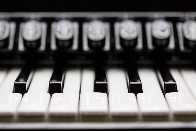 accordion, accordions