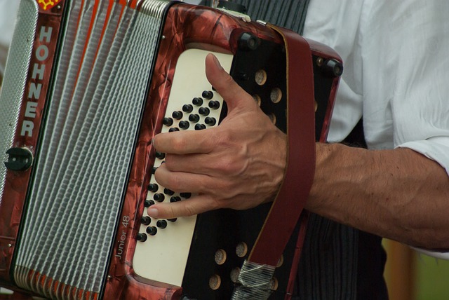 accordion, accordions