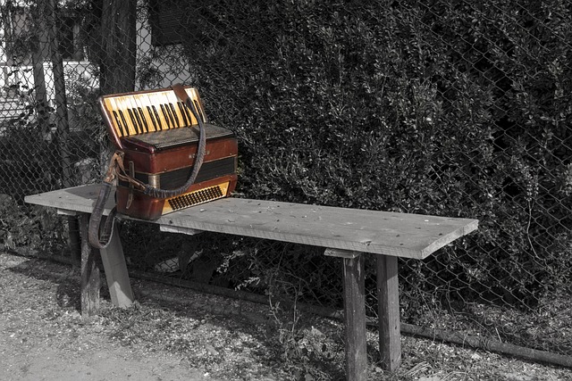 accordion, accordions