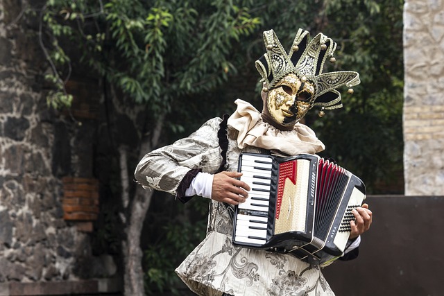 accordion, accordions