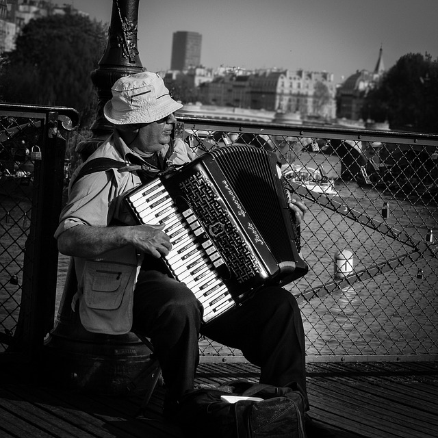 accordion, accordions