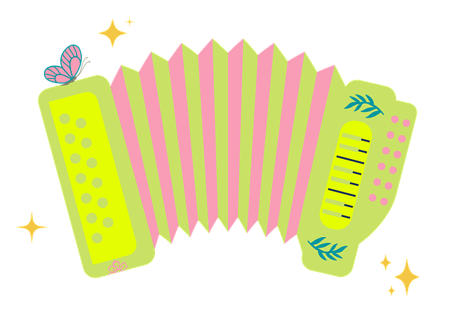 accordion, accordions