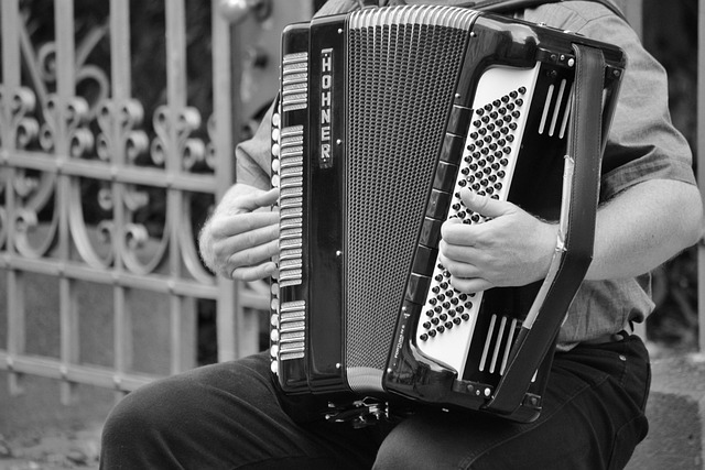 accordion, accordions