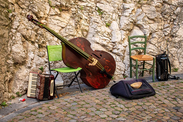 accordion, accordions