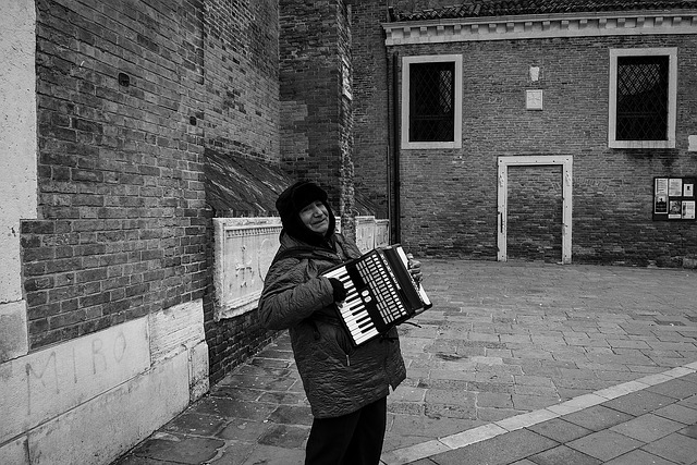 accordion, accordions