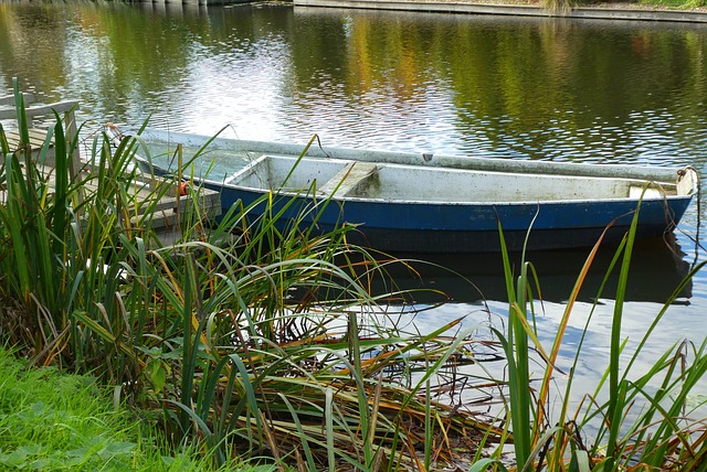 boating, boat