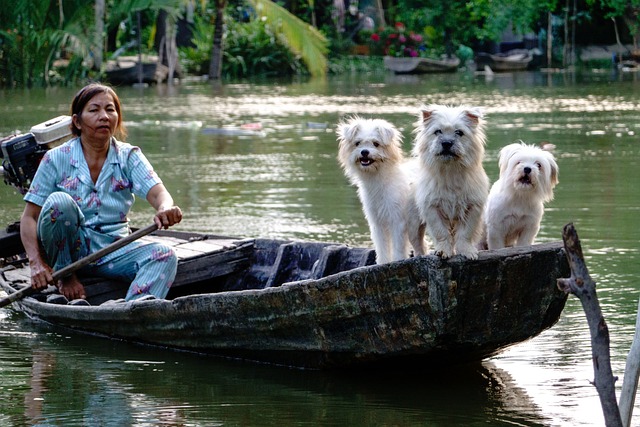 boating, boat