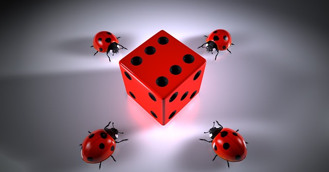 casino dice