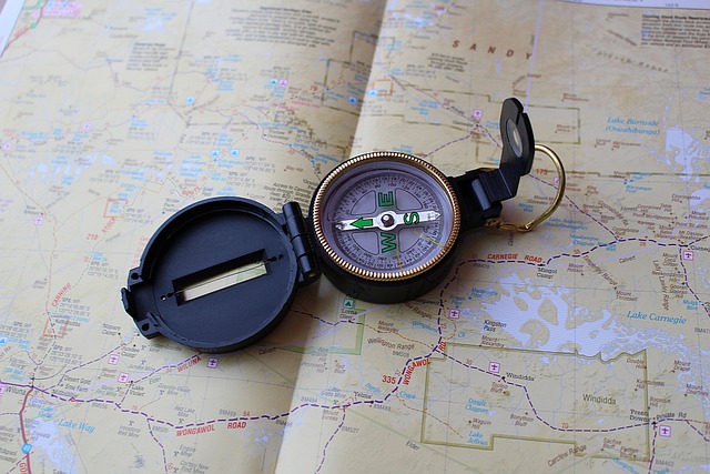 compass, compasses, magnetic compass