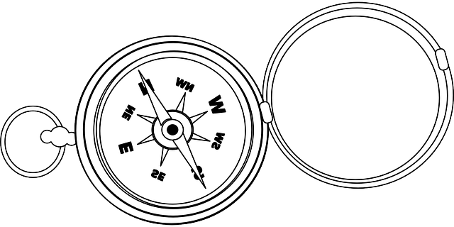compass, compasses, magnetic compass