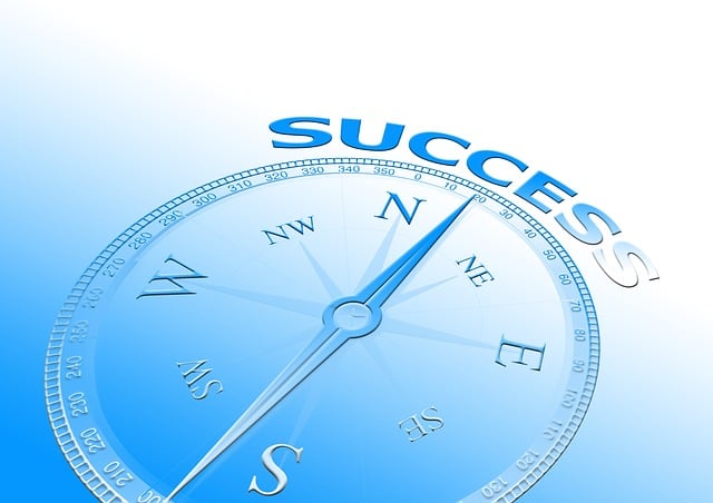compass, compasses, magnetic compass