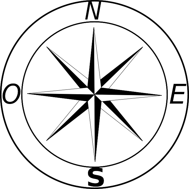 compass, compasses, magnetic compass