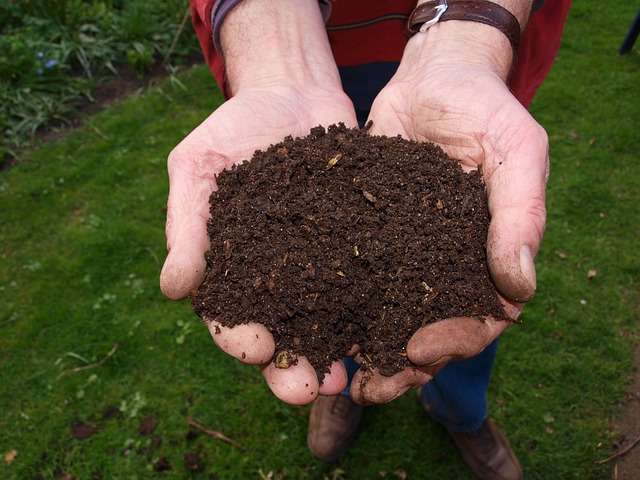 composting, compost, vermiculture