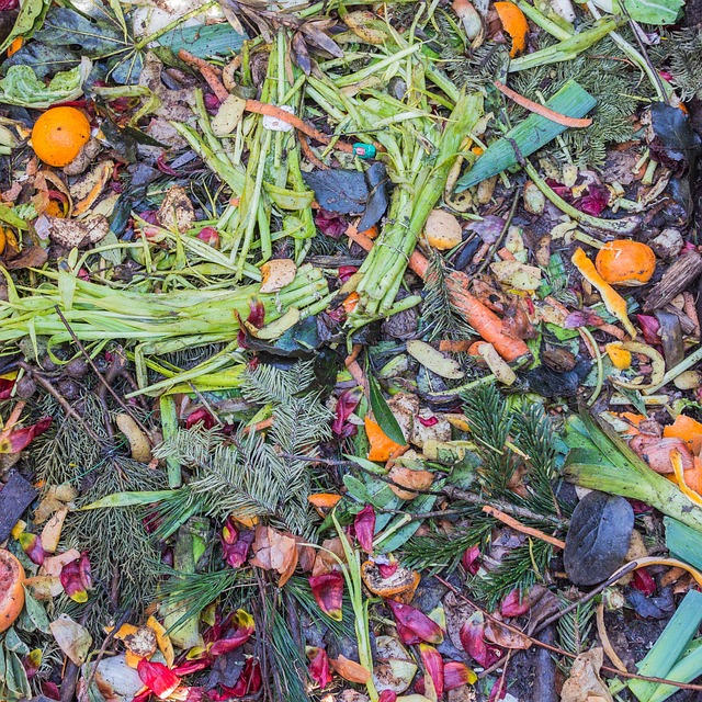 composting, compost, vermiculture