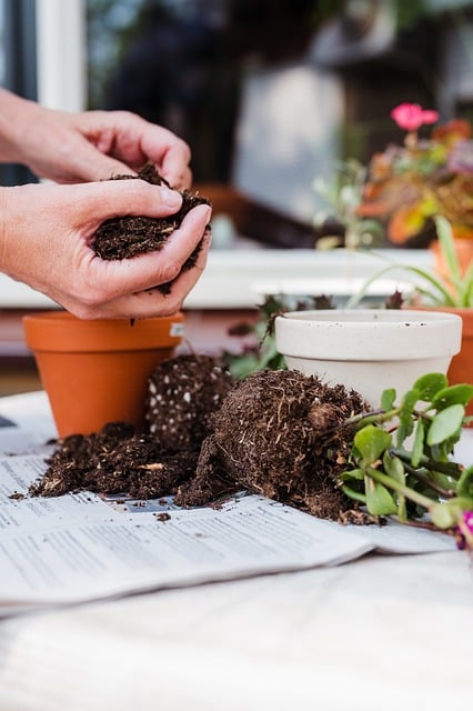 composting, compost, vermiculture