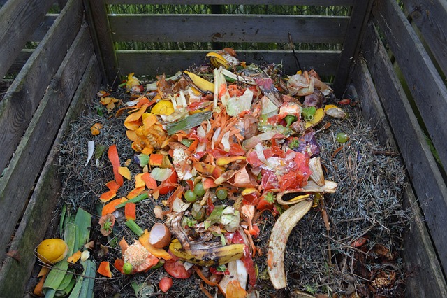 composting, compost, vermiculture