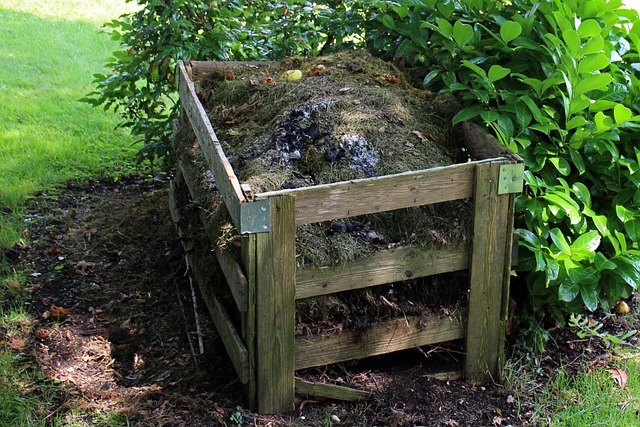 composting, compost, vermiculture