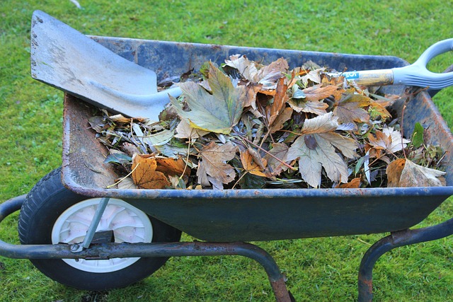 composting, compost, vermiculture