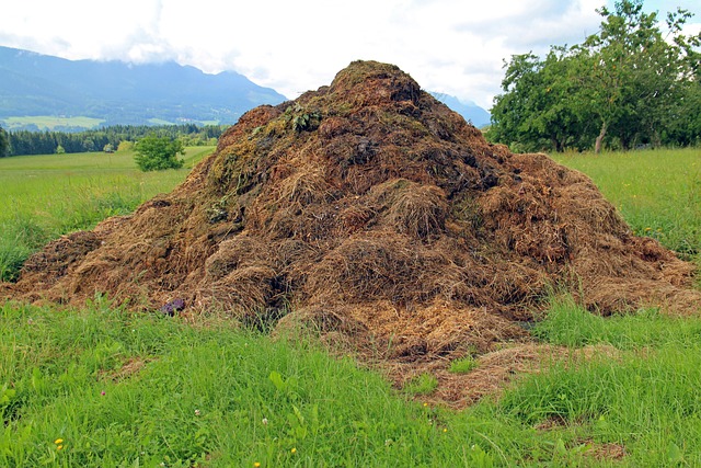 composting, compost, vermiculture