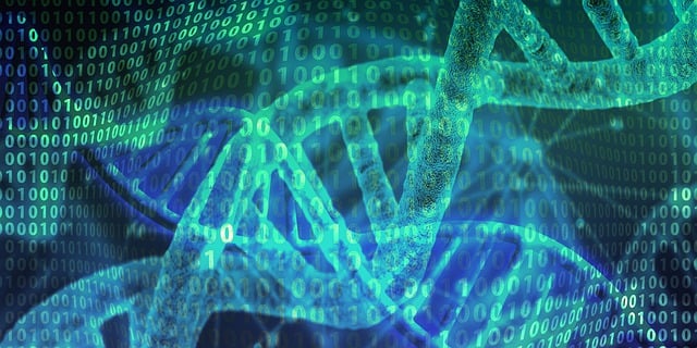 dog dna test, puppy dna test