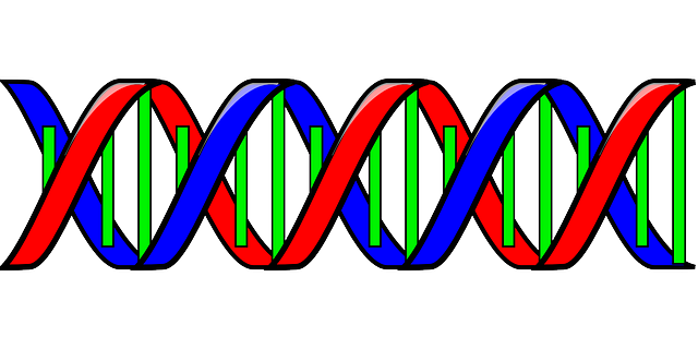 dog dna test, puppy dna test