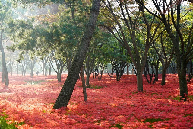english gardens
