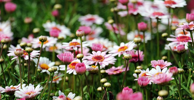 english gardens