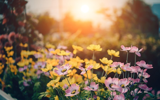 english gardens