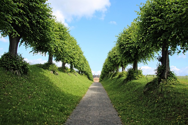 english gardens