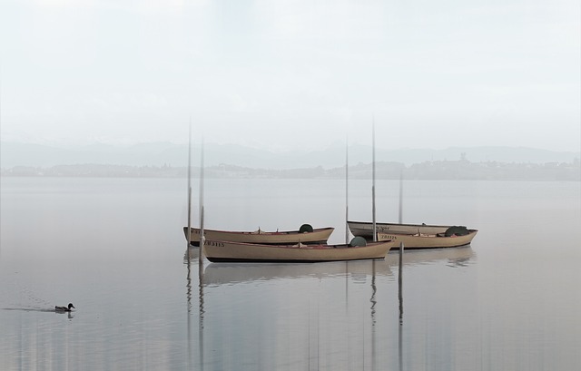 fishing supplies
