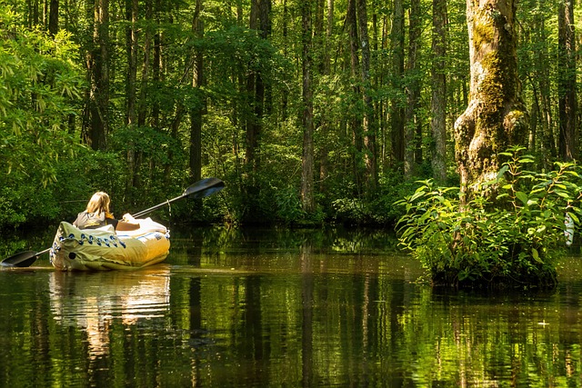 kayaking, kayaks, kayak