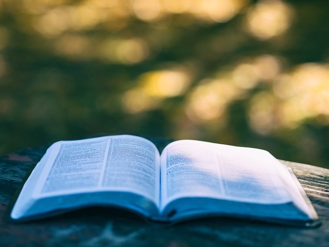 knowledge, knowledge capital